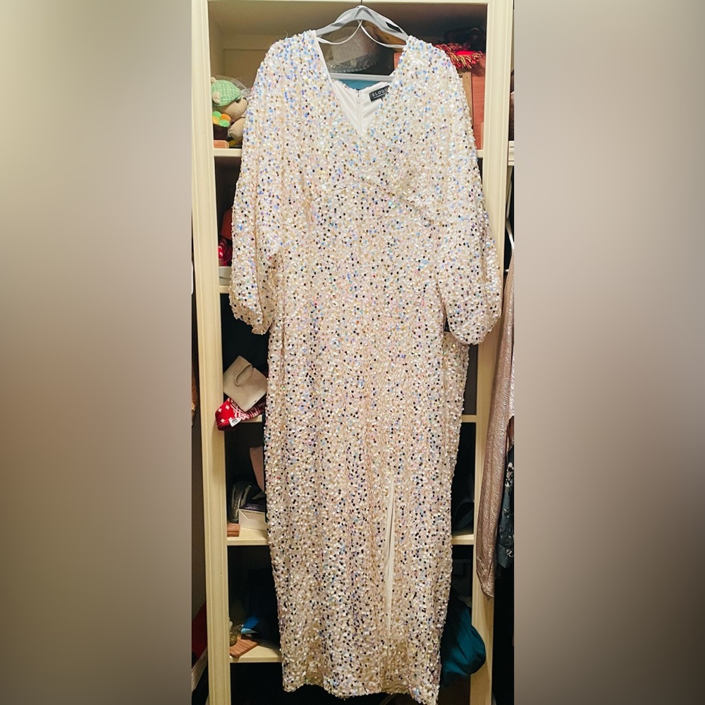 NWT Beautiful ✨ Eloquii Sequined dress